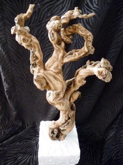 sculpture Cep de vigne
